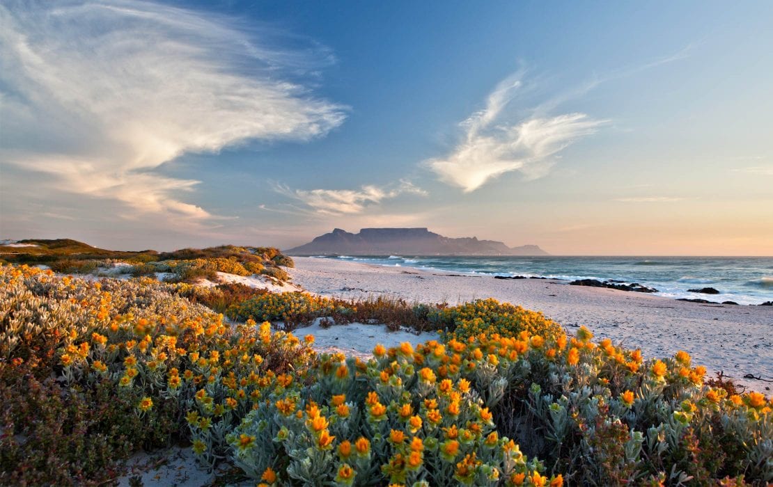 western-cape-1110x700